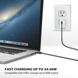 USB-C to USB-A Sync & Charge Cable (3 ft)